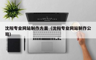 玉林沈阳专业网站制作方案（沈阳专业网站制作公司）
